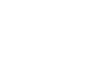 SkyWorks Drones